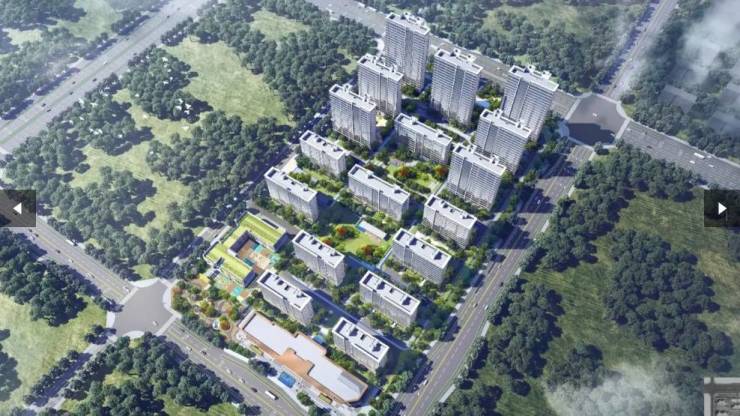 著项目分销佣金有多少开元棋牌徽盐滨湖雲(图2)